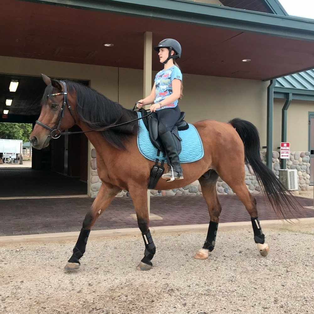 Smartpak Dressage Saddlepad